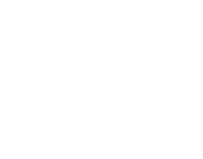 PT Anitrah Technology Solution